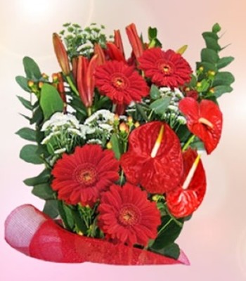 Mix Flower Bouquet - Gerbera Daisy, Anthuriums, Lily with Seasonal Flowers