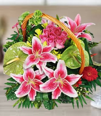 Green Anthurium and Flower Basket