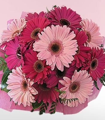 Pink Gerberas Hand-Tied Bouquet