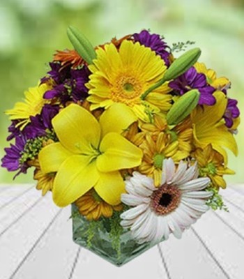 Colourful Dreams - Lilies Gerberas Daises Arrangement in Vase