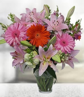 Mix Fower - Lily, Gerbera Daisy and Snapdragon with Free Vase
