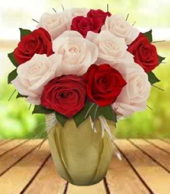 Dozen Red and White Rose Bouquet - Pure Valentines Love