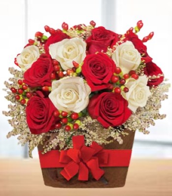 18 Red and White Roses with Red Berries