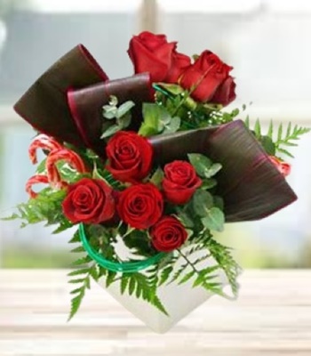 Red Roses in Box