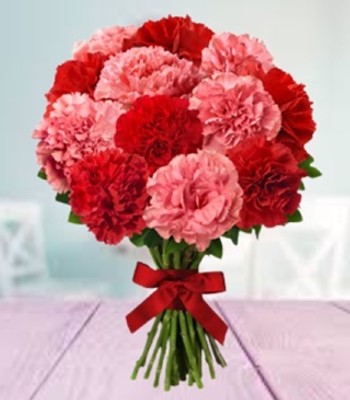 Red and Pink Carnation Bouquet