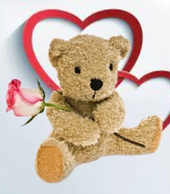 Be Mine - Plush Bear Holding a Bi Colored White and Pink Rose