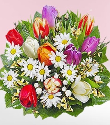 Tulips with Ginster and Daisies