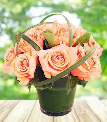 6 Peach Roses with Green Fillers and Cylindrical Glass Vase