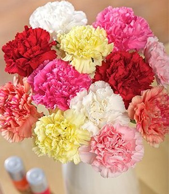 Carnation Bouquet - 12 Mix Carnations