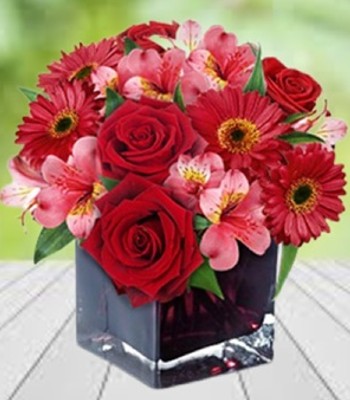 Love Cube - Flowers Arranged in Square Red Glass Cube