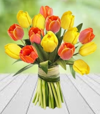 Tulip Flower Bouquet - 6 Yellow and Red Tulips Hand-Tied Bouquet