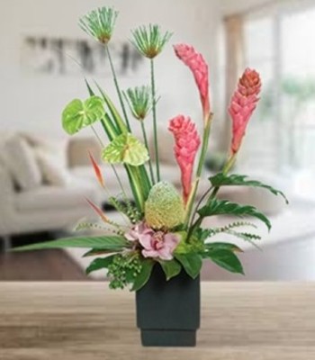 Anthurium and Orchids