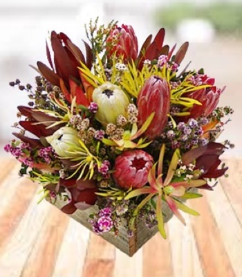 Red and Yellow Proteas and Fillers in Fancy Cube Box