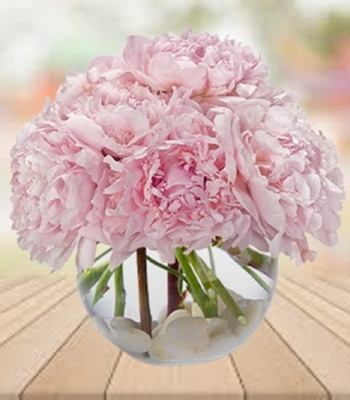 Peonies