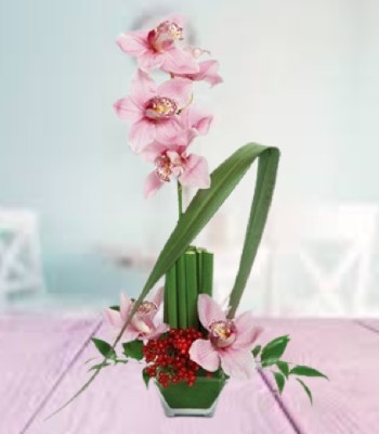 Pink Orchids Cut Green Stalks and Red Berries in Glass Dish