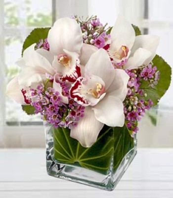 Pink Wax Flowers In Petite Square Vase