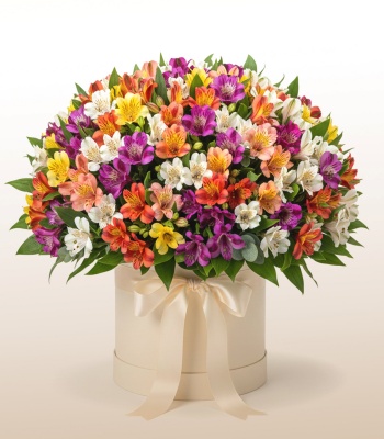 Alstroemeria Symphony Bouquet