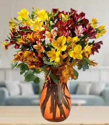 Alstroemeria Flowers in Vase
