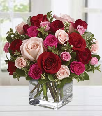 Anniversary Special Roses