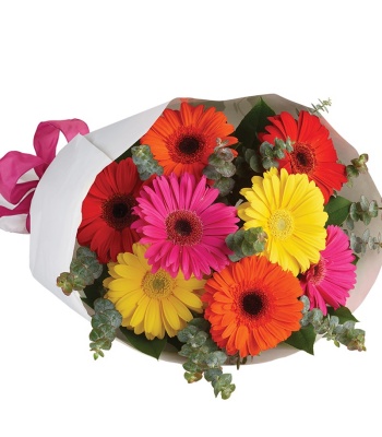 Bright Gerbera Bouquet