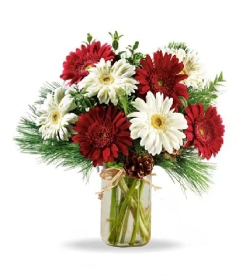 Christmas Holiday Flowers In A Mason Jar
