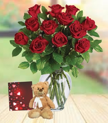 12 Red Roses With Teddy and Greeting Card