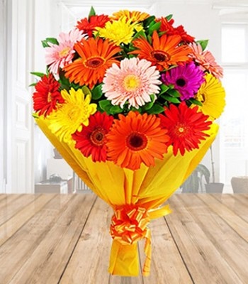 Dozen Gerbera Daisy