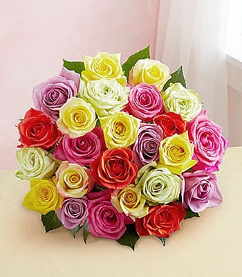24 Mix Roses - Assorted Long Stem Roses