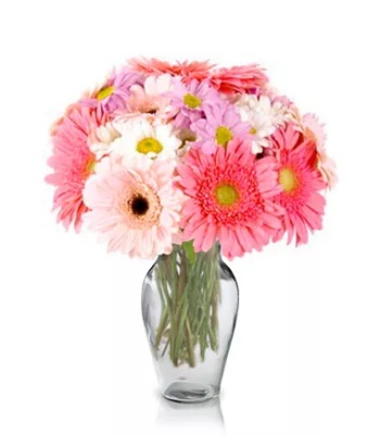 Mother's Day Gerbera & Chrysanthemum Bouquet