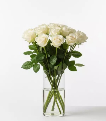 One Dozen Long Stem White Roses