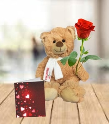 Single Red Rose With Teddy and Greeting Card