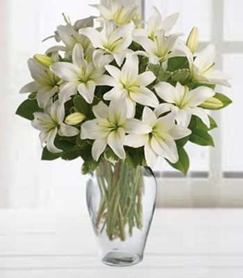 White Lilies Sympathy Arrangement