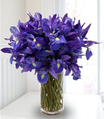 Blue Iris - 25 Iris Bouquet Hand-Tied by Expert