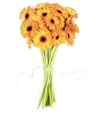24 Yellow Gerbera Flower Bouquet