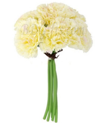 7 White Carnations