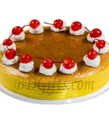 Boston Cheese Cake 1 Kg