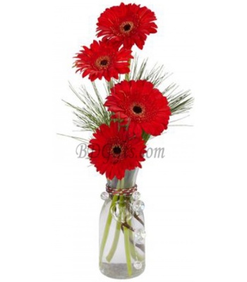 Red Gerbera Flowers In Vase - 4 Red Gerberas