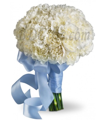 White Carnations Bouquet - 18 White Carnations