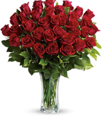 Three Dozen Red Roses