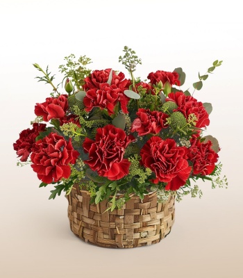 12 Carnation Flowers