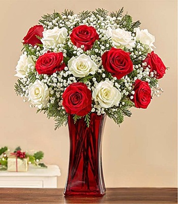 12 Red & White Roses