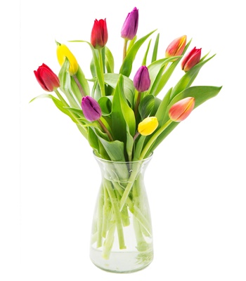 10 Mix Color Assorted Tulips