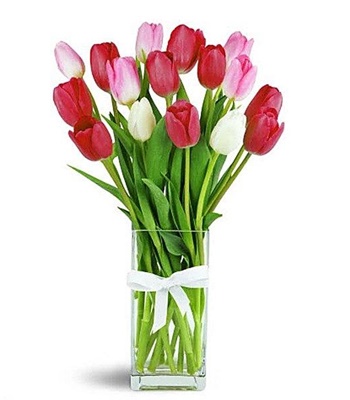 15 Mixed Colored Tulips