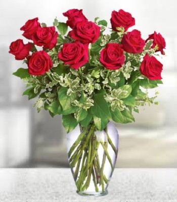 Red Roses - Dozen Red Roses in Tall Vase