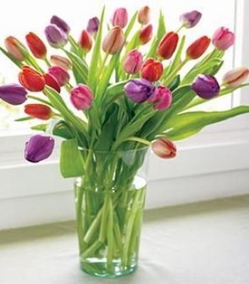 30 Mixed Colored Assorted Tulips