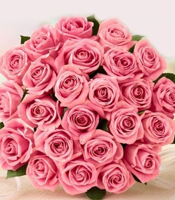 30 Fresh Cut Pink Roses
