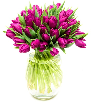 Freshness Forever with 30 Purple Tulips