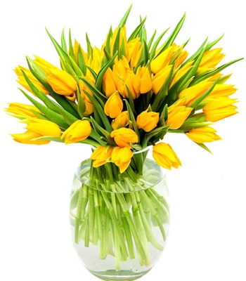 Make Someone's Day with 30 Yellow Tulips
