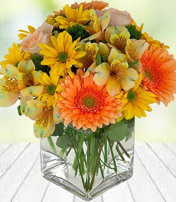 Best Wishes - Roses, Alstroemeria, Daisies, Gerbera with Salmon