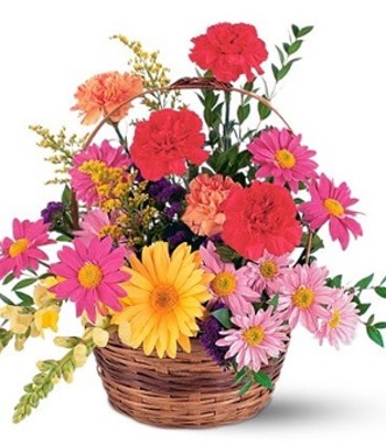 Basket of Vibrant Red Carnations